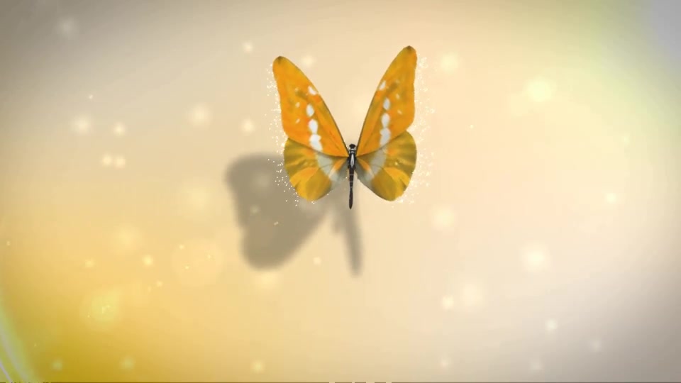 Butterfly Logo Reveal | Premiere Version Videohive 33583138 Premiere Pro Image 11