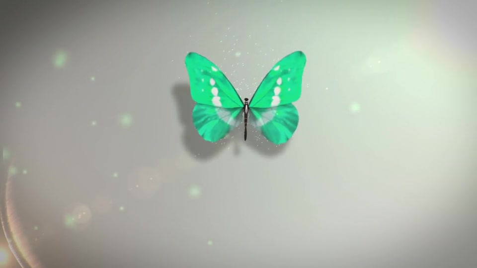 Butterfly Logo Reveal | Premiere Version Videohive 33583138 Premiere Pro Image 2