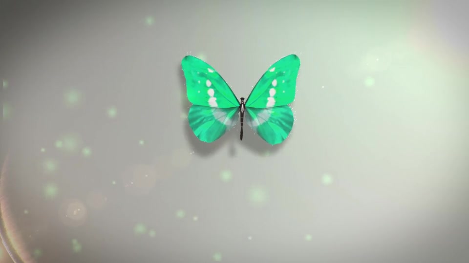 Butterfly Logo Reveal | Premiere Version Videohive 33583138 Premiere Pro Image 3