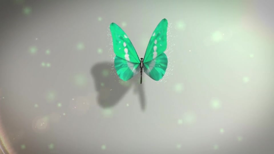 Butterfly Logo Reveal | Premiere Version Videohive 33583138 Premiere Pro Image 4