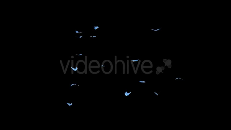 Butterfly Swarm Blue Adonis Pack of 2 Videohive 10181732 Motion Graphics Image 7