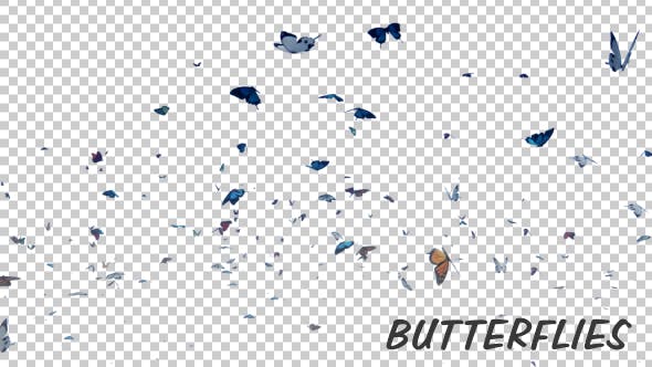 Butterfly - Videohive Download 19680532