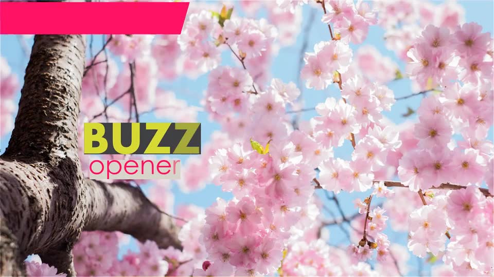Buzz Opener Videohive 19421002 After Effects Image 2