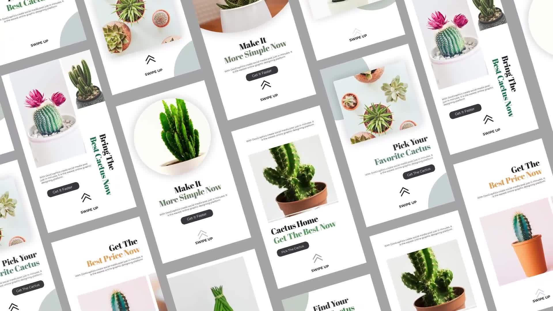 Cactus Instagram Story Pack Videohive 33211459 After Effects Image 1