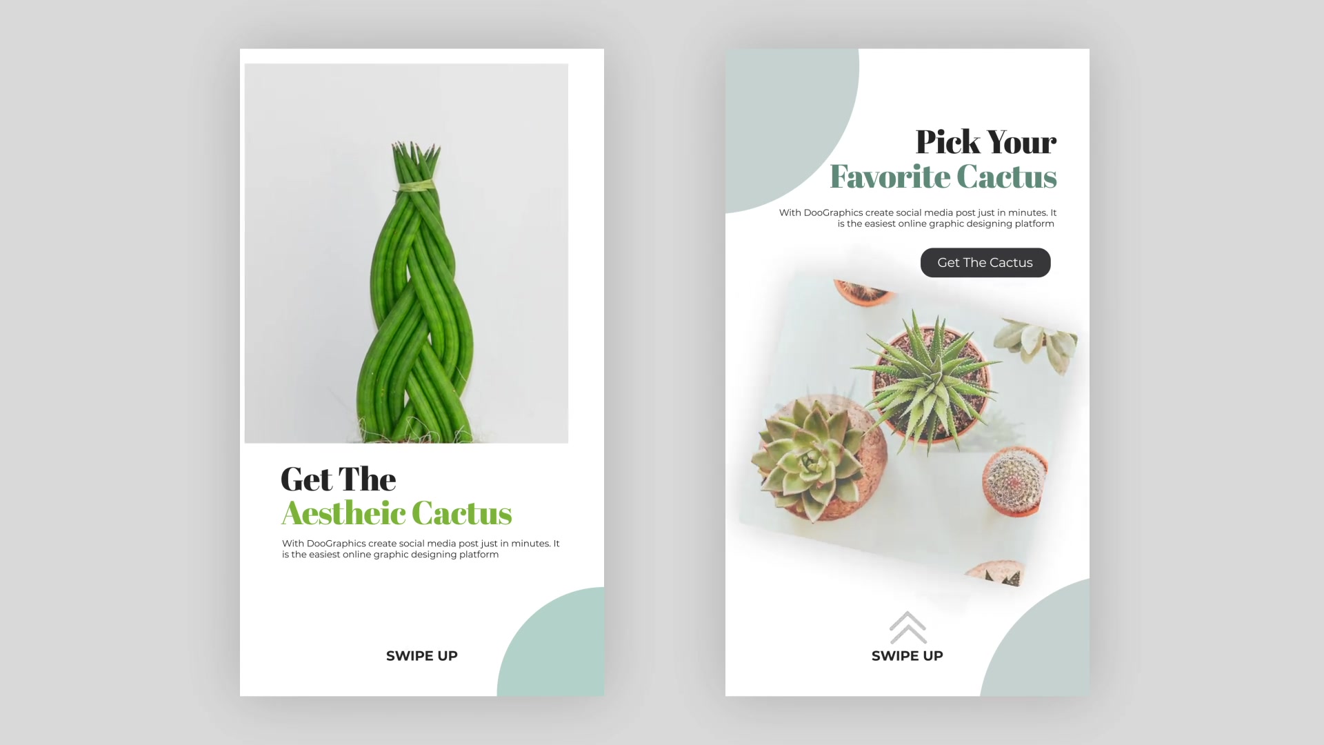 Cactus Instagram Story Pack Videohive 33211459 After Effects Image 10