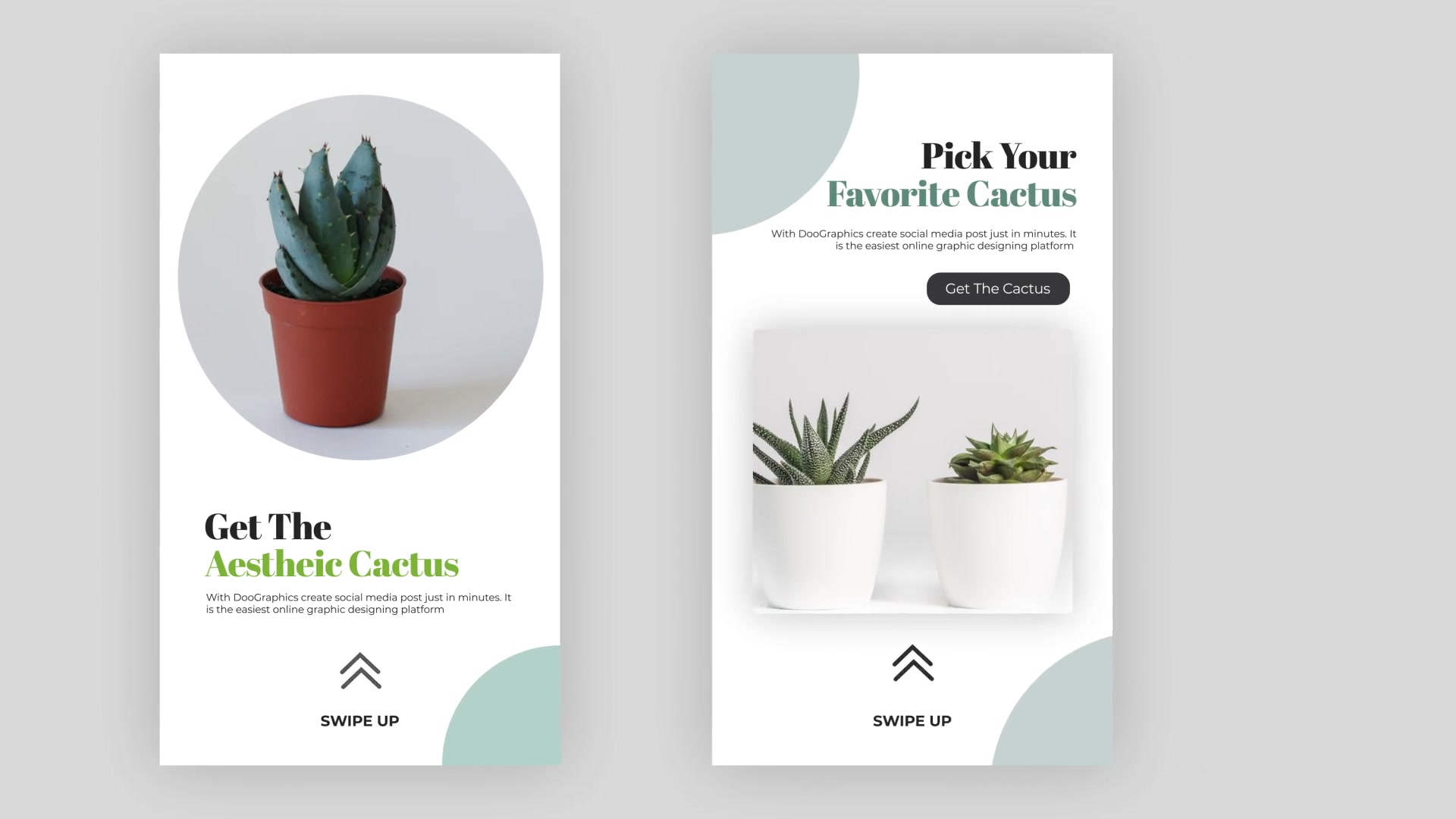 Cactus Instagram Story Pack Videohive 33211459 After Effects Image 11
