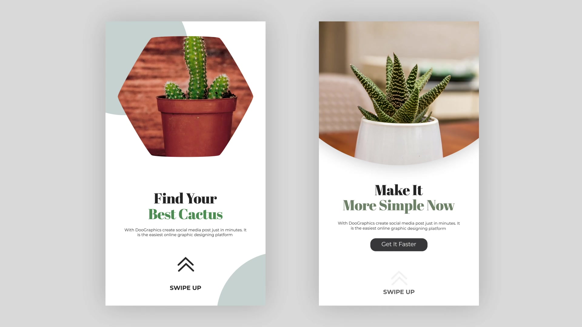 Cactus Instagram Story Pack Videohive 33211459 After Effects Image 12