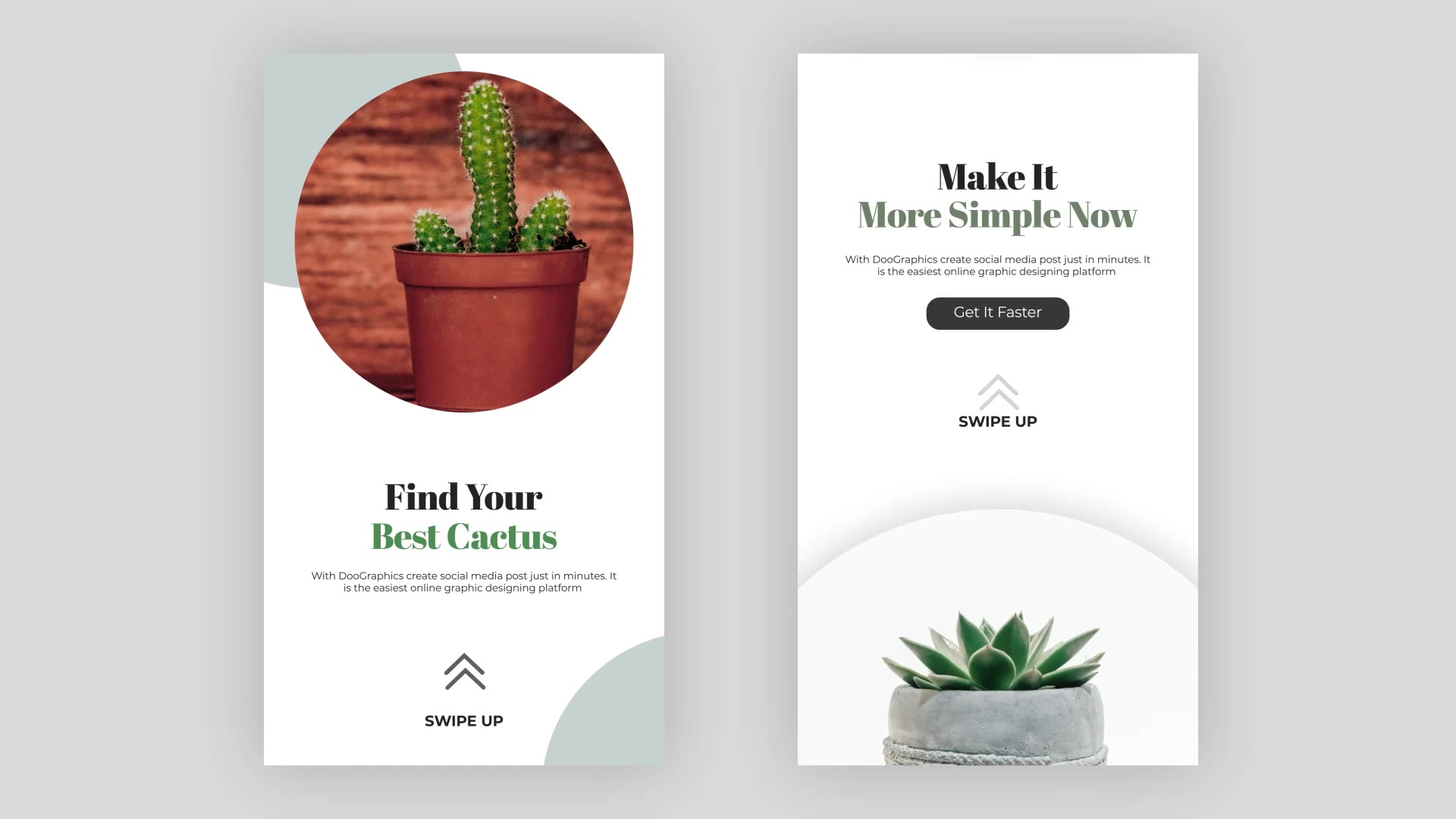 Cactus Instagram Story Pack Videohive 33211459 After Effects Image 13