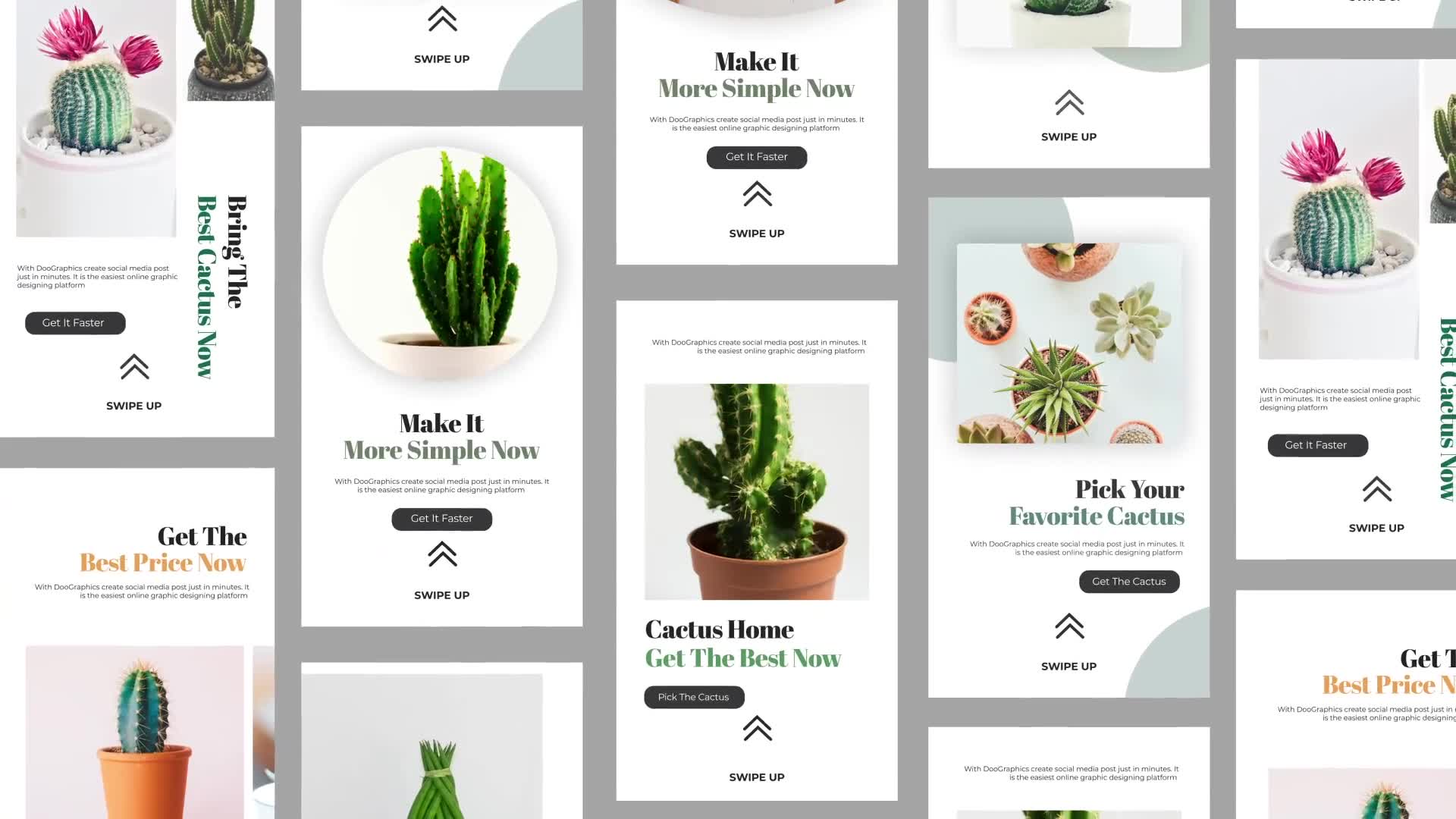 Cactus Instagram Story Pack Videohive 33211459 After Effects Image 2
