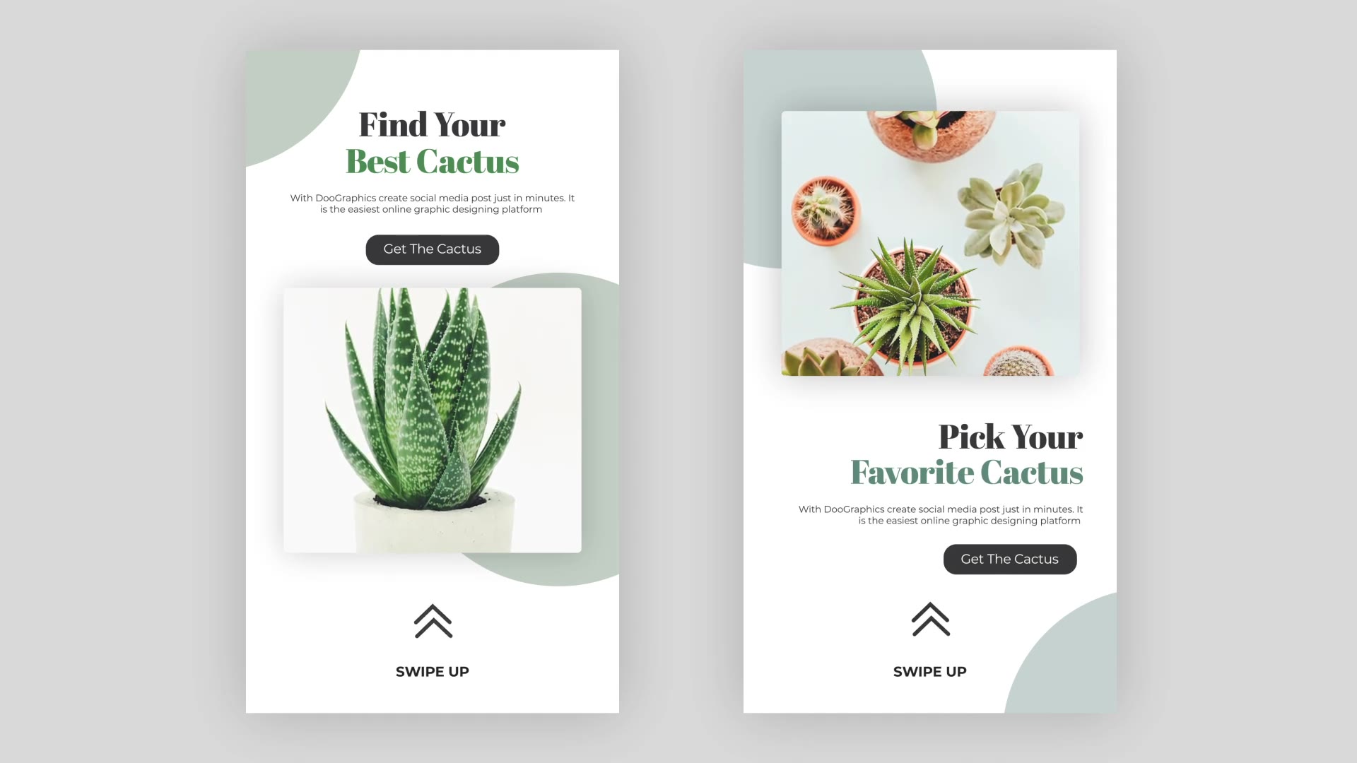 Cactus Instagram Story Pack Videohive 33211459 After Effects Image 4