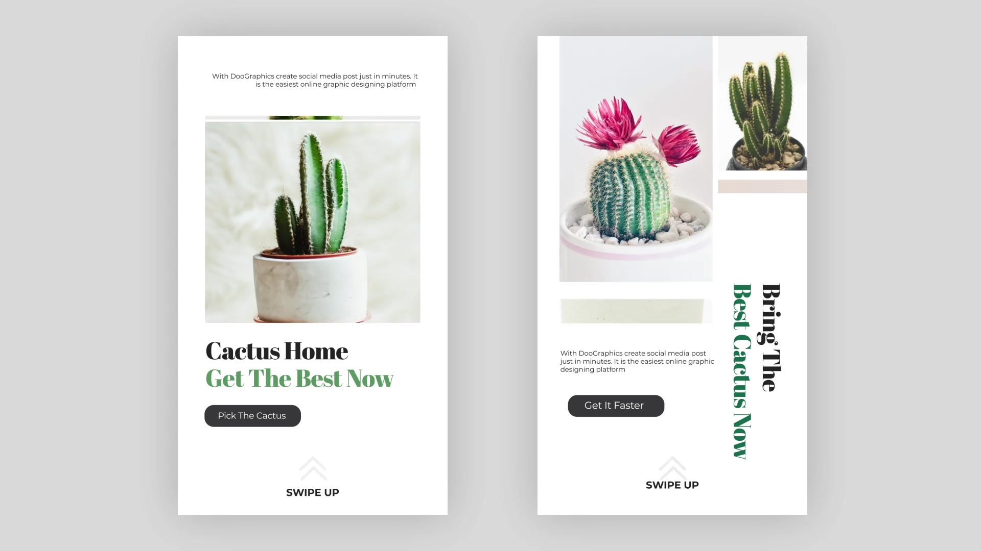 Cactus Instagram Story Pack Videohive 33211459 After Effects Image 6