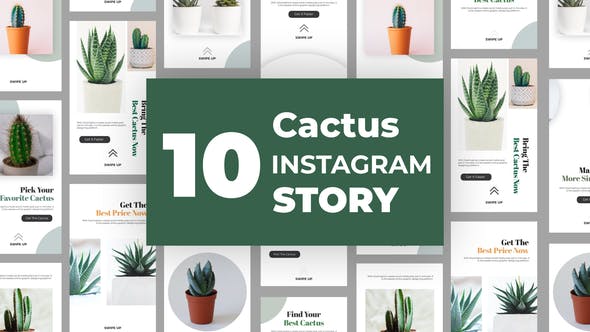 Cactus Instagram Story Pack - Videohive Download 33211459