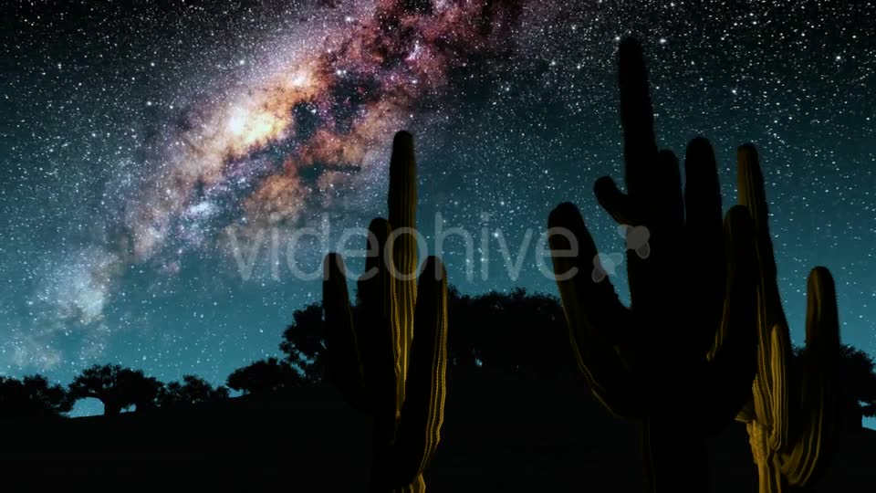 Cactuses And Milky Way Stars At Night - Download Videohive 18780002