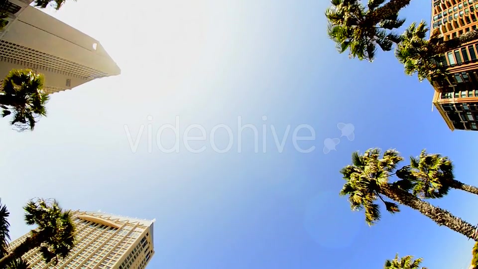 California Tropical Palm Trees Driving  Videohive 10880399 Stock Footage Image 10