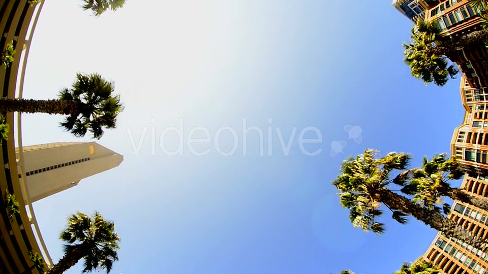 California Tropical Palm Trees Driving  Videohive 10880399 Stock Footage Image 7