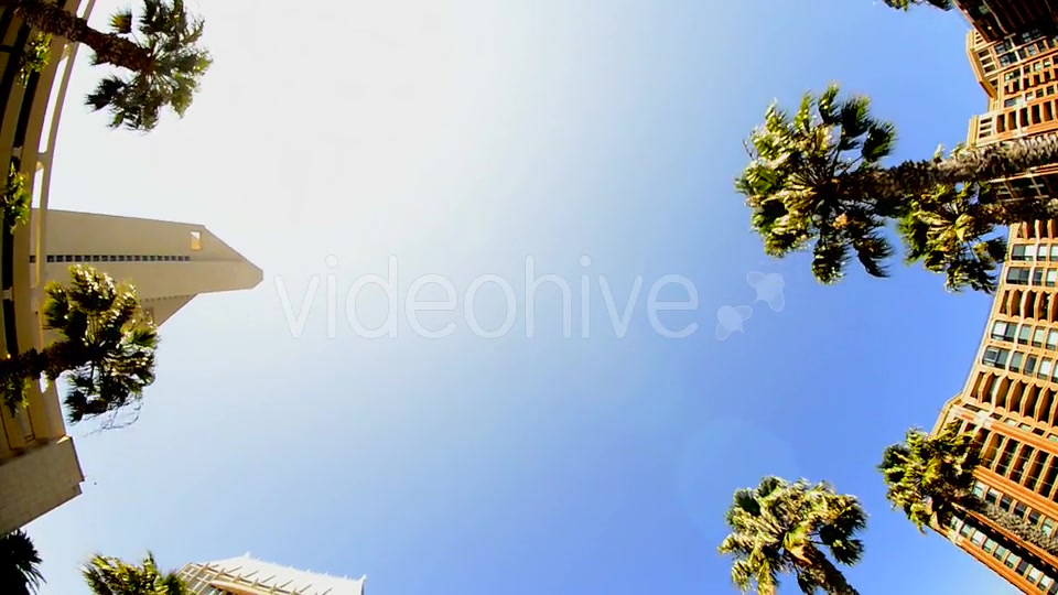 California Tropical Palm Trees Driving  Videohive 10880399 Stock Footage Image 8