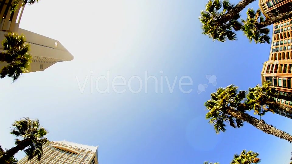 California Tropical Palm Trees Driving  Videohive 10880399 Stock Footage Image 9