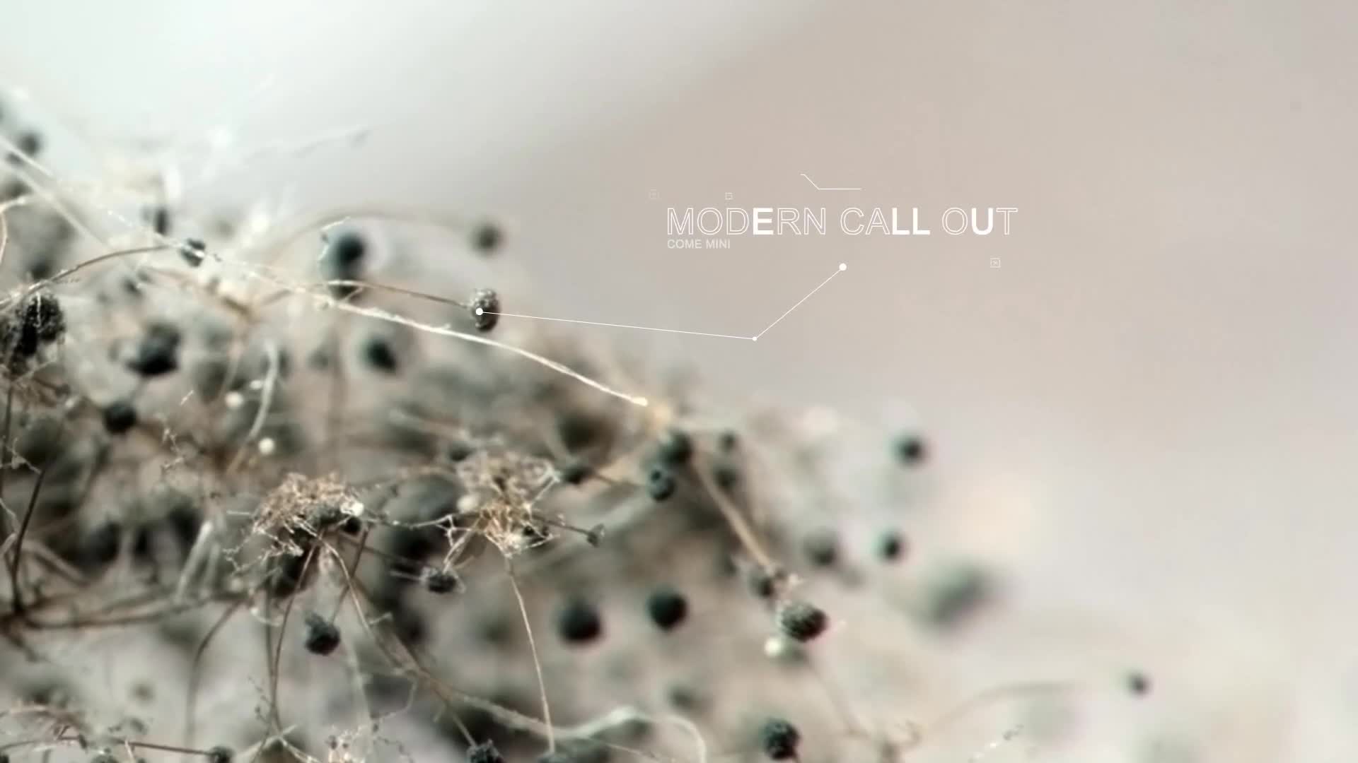 Call out modern Videohive 40387932 After Effects Image 1