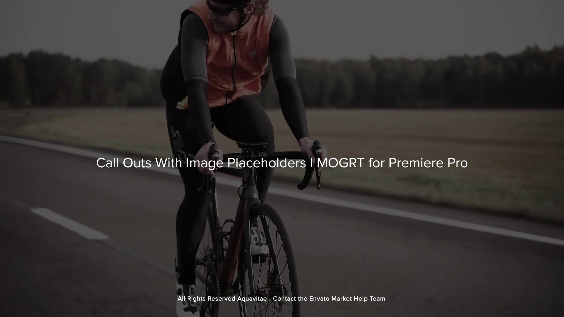 Call Outs With Image Placeholders l MOGRT for Premiere Pro Videohive 38037447 Premiere Pro Image 12