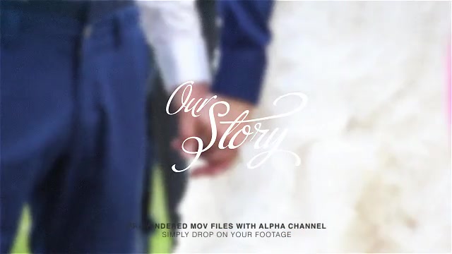 Calligraphic Wedding Title Set Videohive 7894292 Motion Graphics Image 5