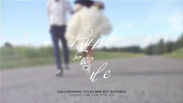 Calligraphic Wedding Title Set Videohive 7894292 Motion Graphics Image 6