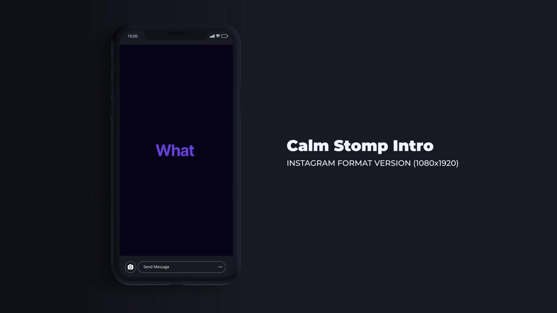 Calm Stomp Intro Videohive 40406024 After Effects Image 7