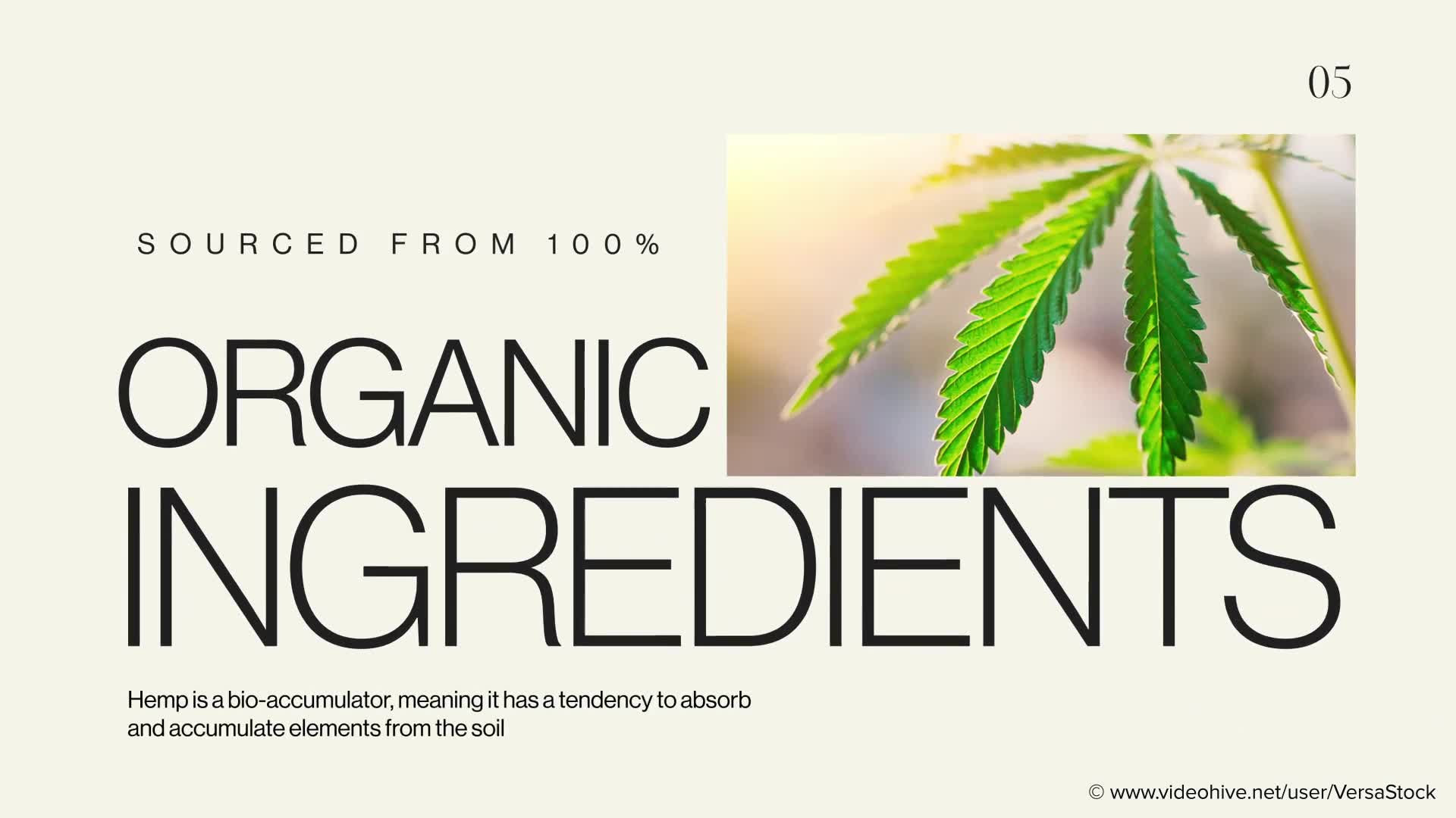 Cannabiz Hemp Product Business Promotion Videohive 33654824 After Effects Image 2