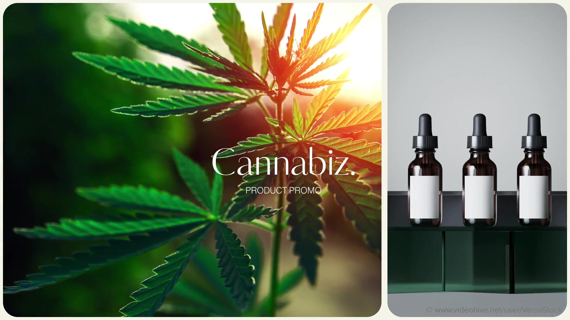 Cannabiz Hemp Product Business Promotion Videohive 33654824 After Effects Image 7