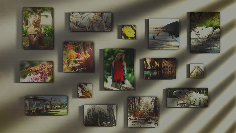 Canvas Wrap Photo Gallery Videohive 10827081 After Effects Image 13