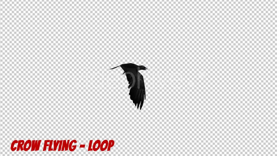 Cartoon Crow Flying - Download Videohive 19900146