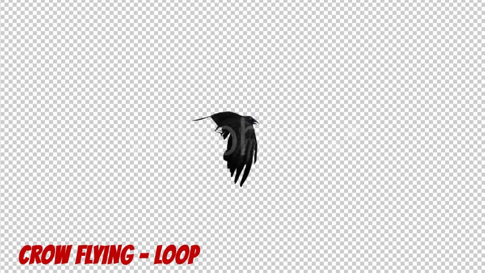 Cartoon Crow Flying - Download Videohive 19900146