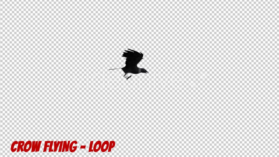 Cartoon Crow Flying - Download Videohive 19900146