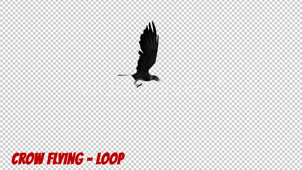 Cartoon Crow Flying - Download Videohive 19900146