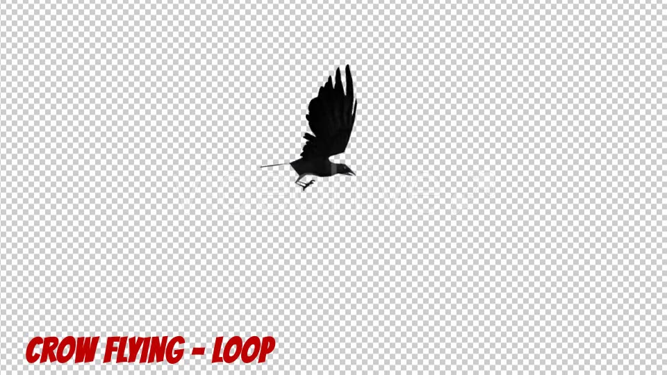 Cartoon Crow Flying - Download Videohive 19900146