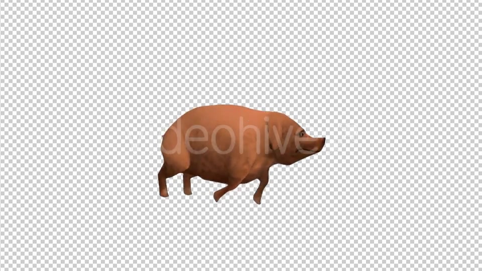 Cartoon Pig Walking - Download Videohive 20040216