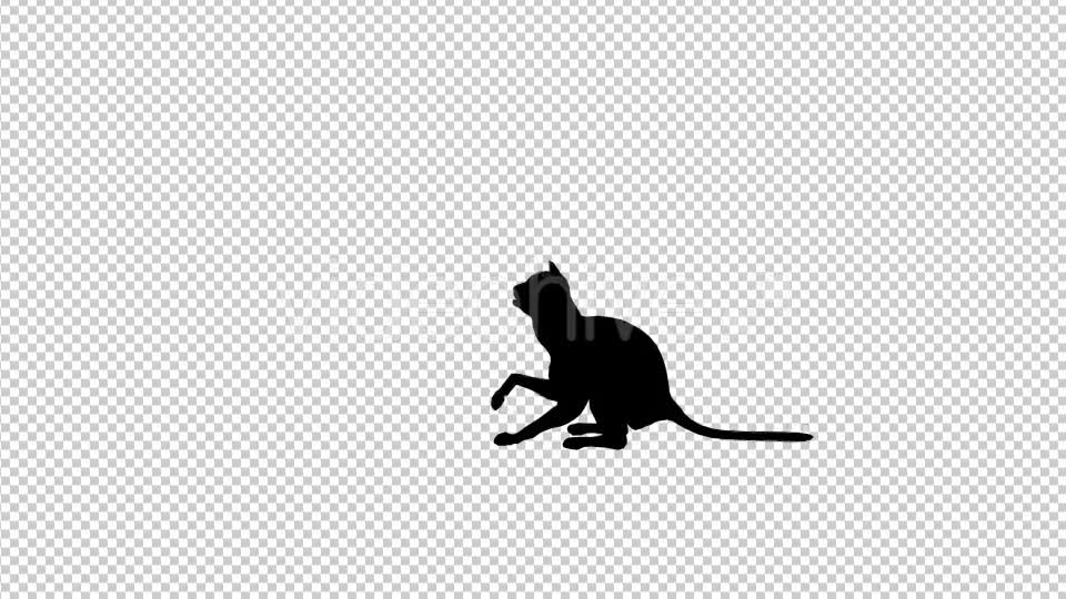 Cat Silhouettes - Download Videohive 21241974