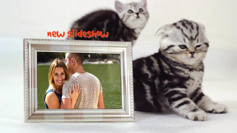 Cats Slideshow - Download Videohive 18983291