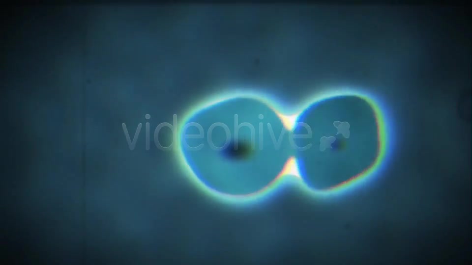 Cell Division Videohive 3713874 Motion Graphics Image 2