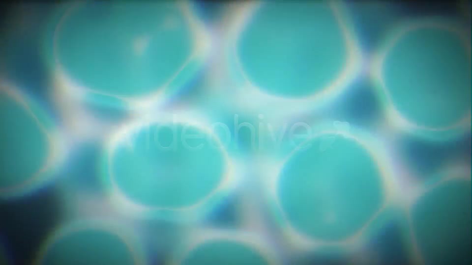 Cell Division Videohive 3713874 Motion Graphics Image 7