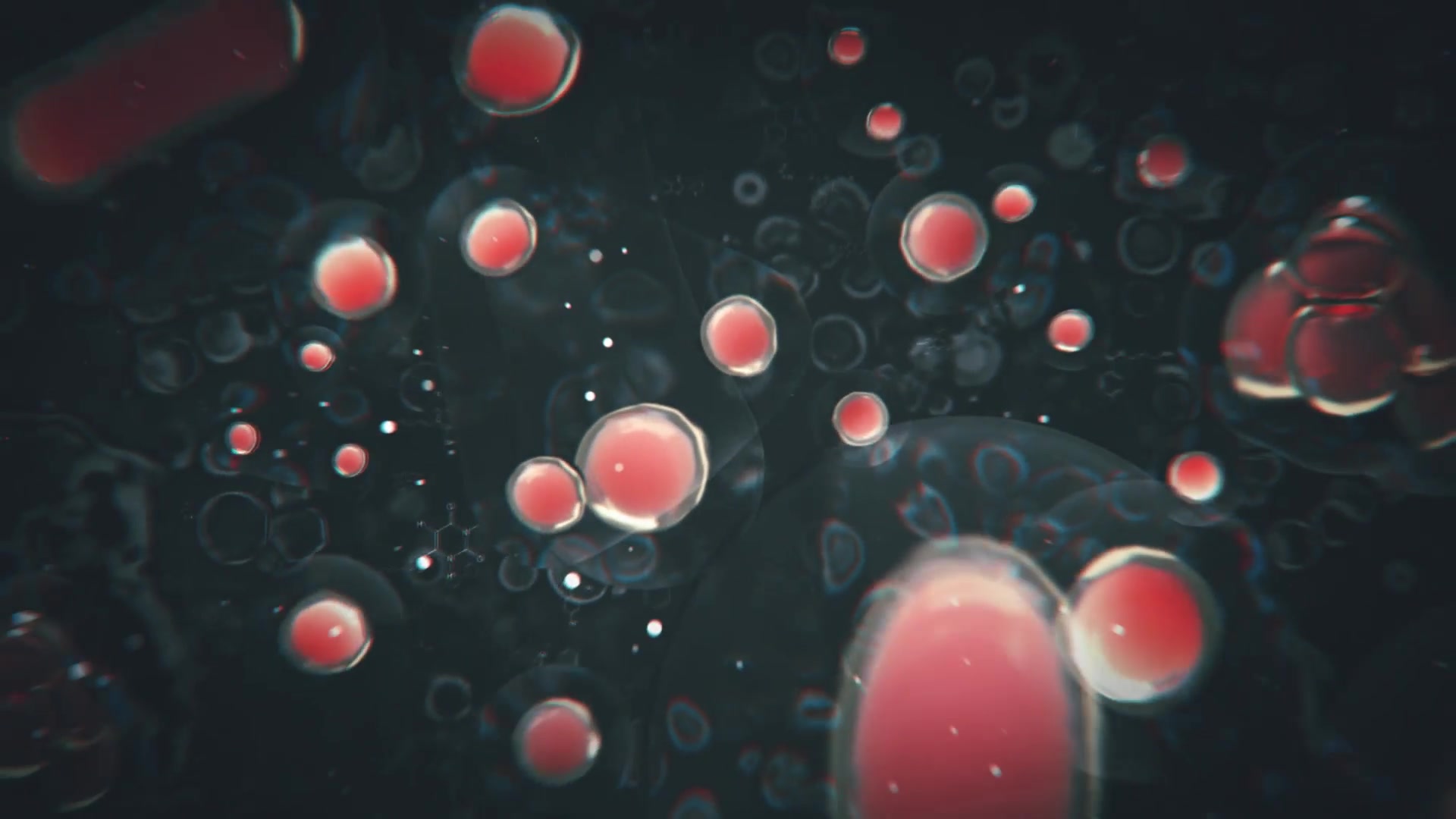 Cell Division Logo Reveal Videohive 26501837 After Effects Image 2