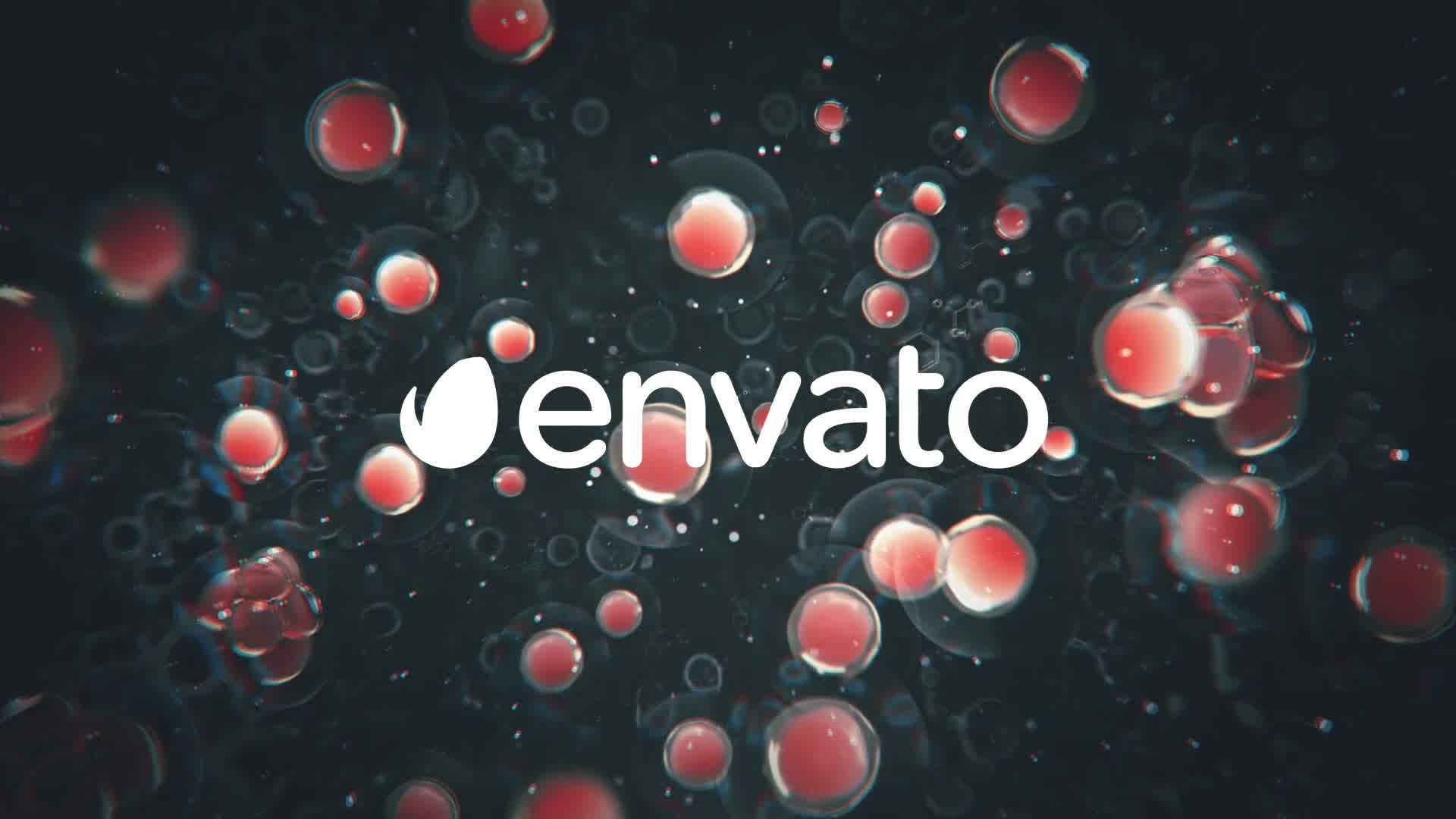 Cell Division Logo Reveal Videohive 26501837 After Effects Image 9