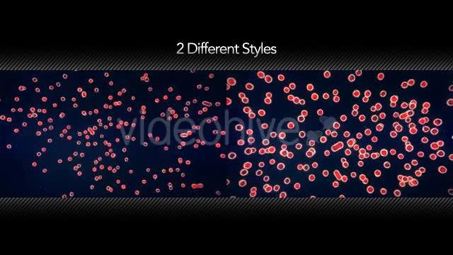 Cell Growth Multiplying - Download Videohive 16600066