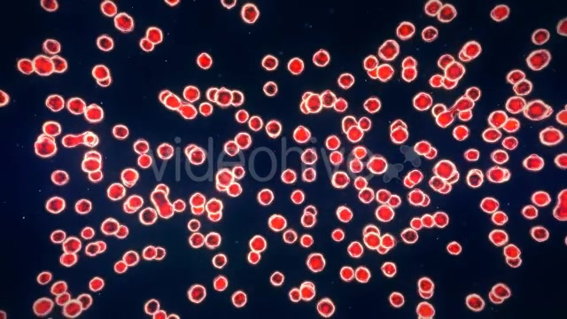 Cell Growth Multiplying - Download Videohive 16600066