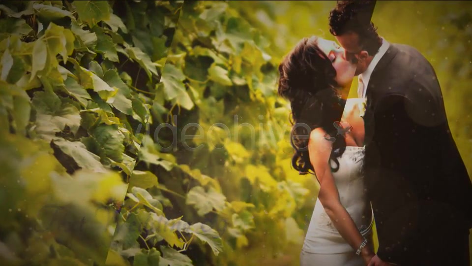 Chocolate Wedding - Download Videohive 2473936