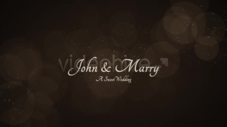 Chocolate Wedding - Download Videohive 2473936