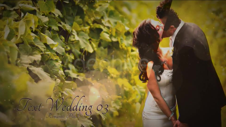 Chocolate Wedding - Download Videohive 2473936