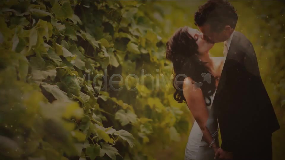 Chocolate Wedding - Download Videohive 2473936