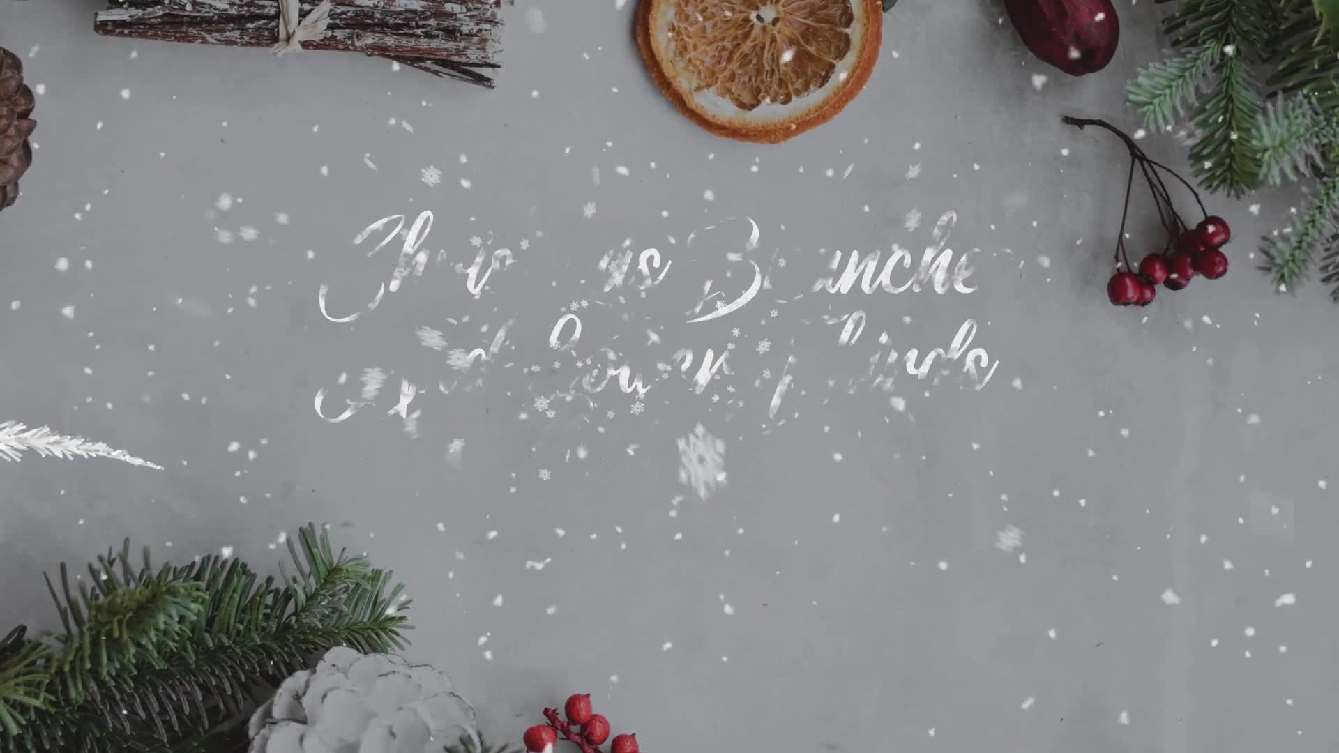 Christmas Branches And Lower Thirds for After Effects Videohive 42265253 After Effects Image 1