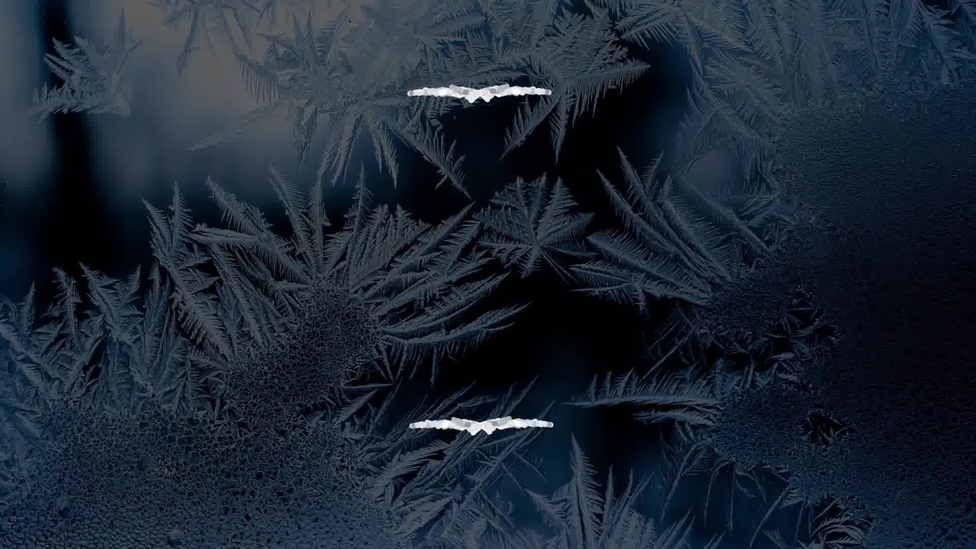 Christmas Branches And Lower Thirds for After Effects Videohive 42265253 After Effects Image 11