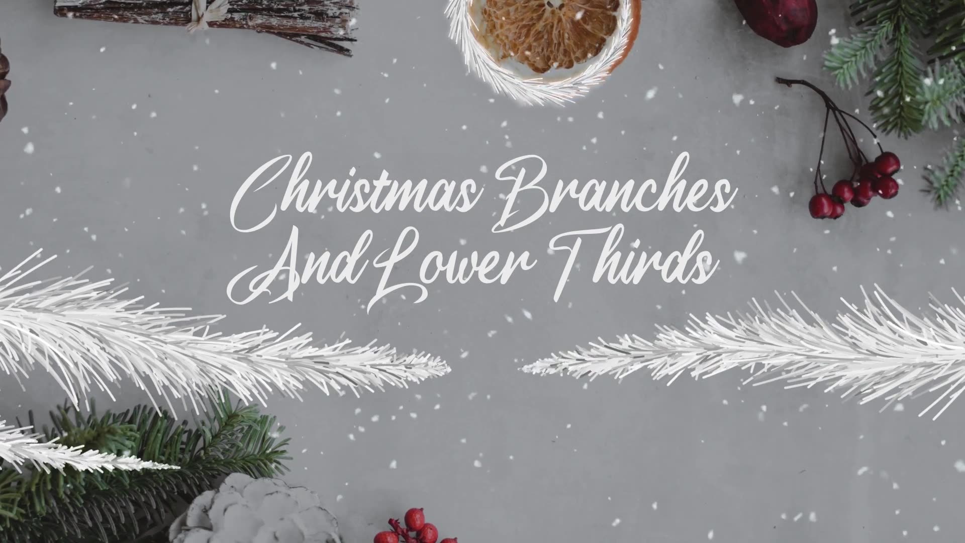 Christmas Branches And Lower Thirds for After Effects Videohive 42265253 After Effects Image 2